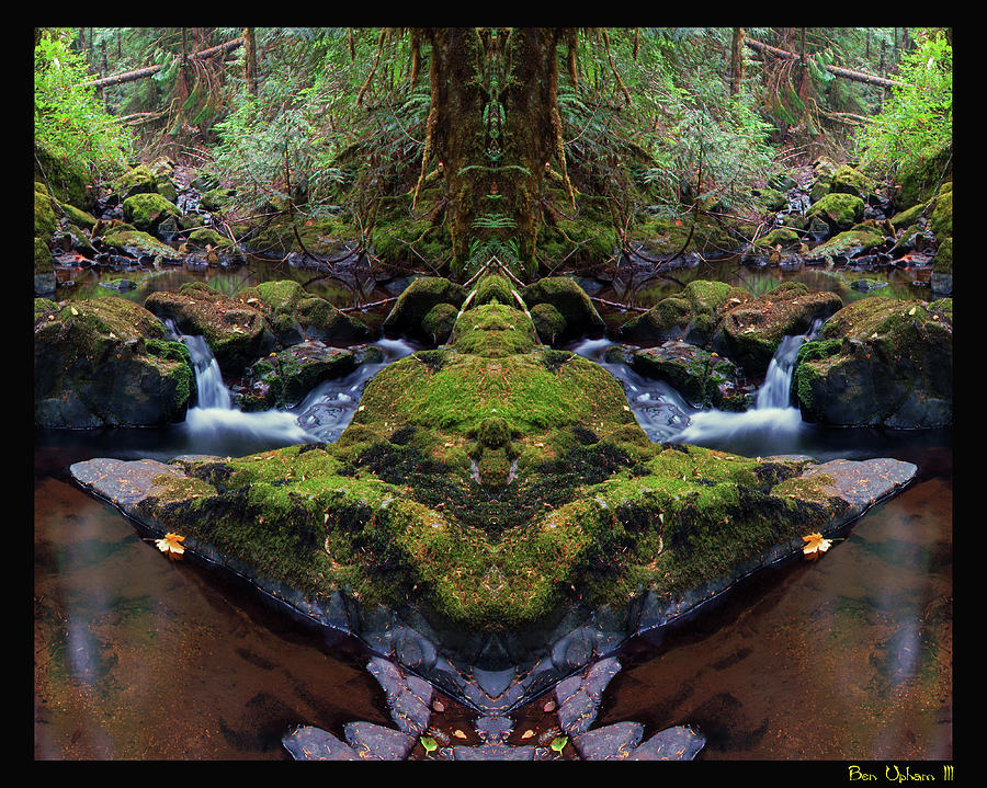 Wilson Creek Paradise Mirror #2 with a Black Border Photograph by Ben Upham III