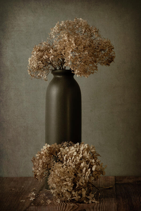 Wilted Grace Photograph by Dodie Ross Wilted Grace Photograph by Dodie Ross