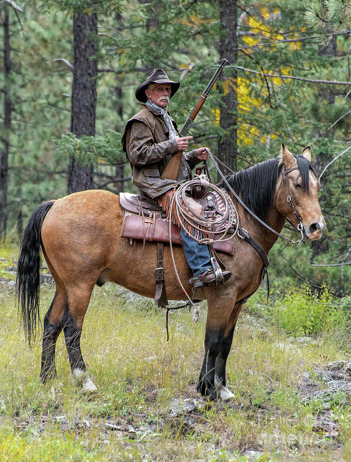 Winchester Cowboy Photograph by Jim Chamberlain - Fine Art America