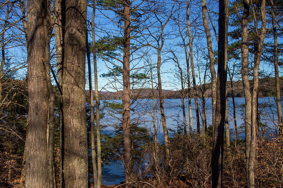 Winchester Lake Photograph
