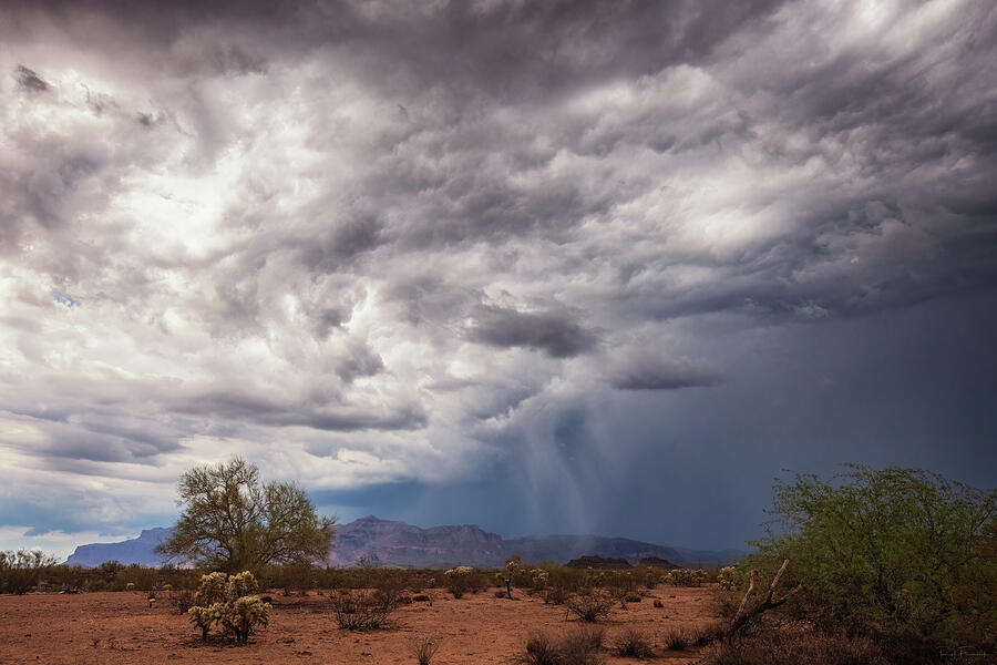 Wind and Rain Photograph by Rick Furmanek