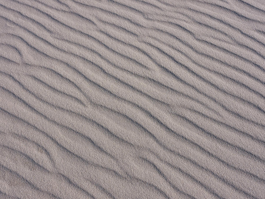Wind And Water Carved Sand Patterns Photograph