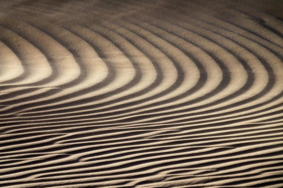 Wind blowing over sand dunes Photograph by Mikhail Kokhanchikov