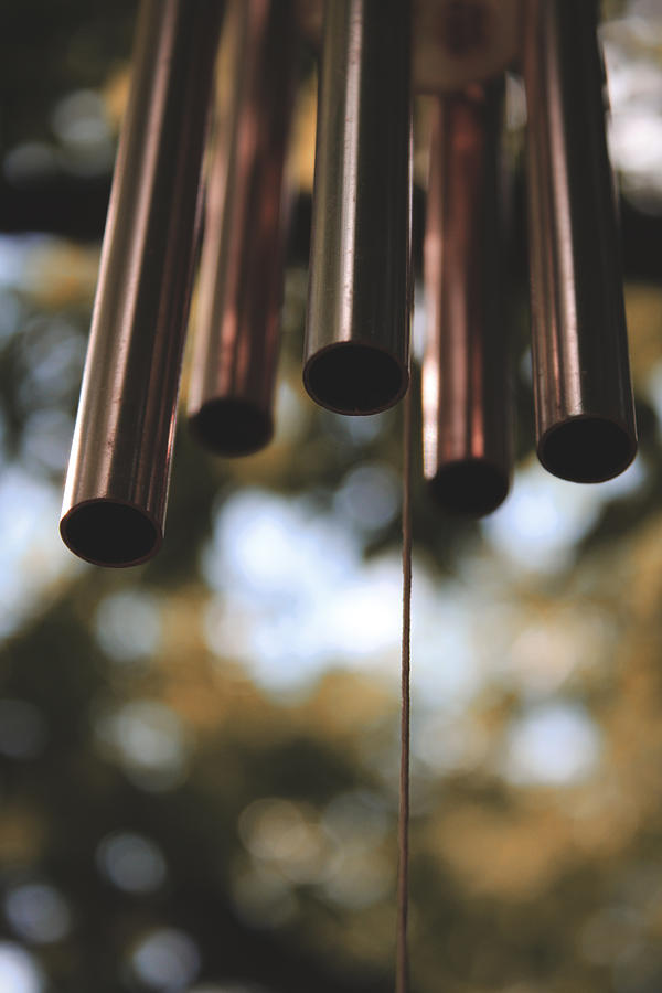 Wind Chime Photograph by W Craig Photography