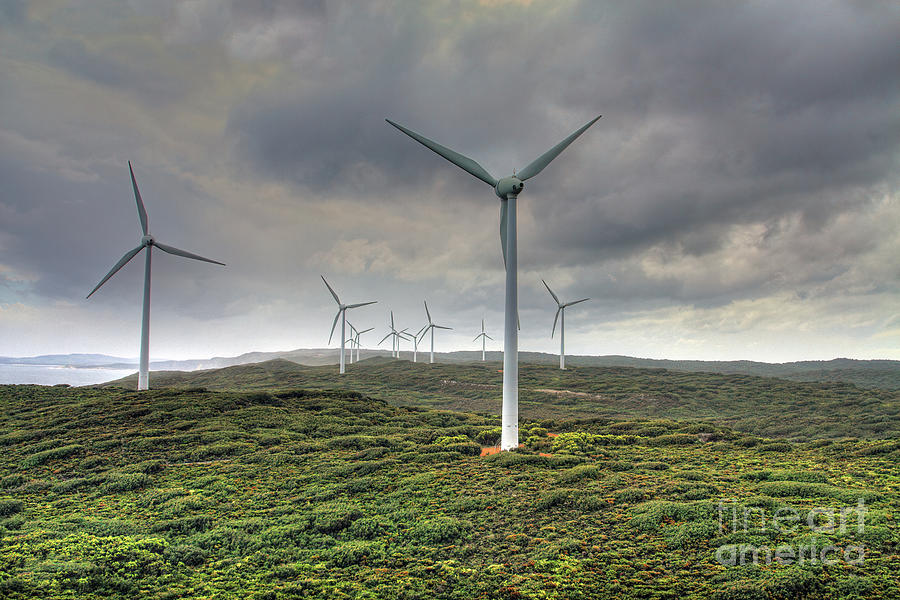 Wind Farm, Albany, Western Australia Photograph by Elaine Teague