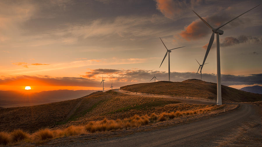 Wind Farm at New Zealand Photograph by William C. Y. Chu