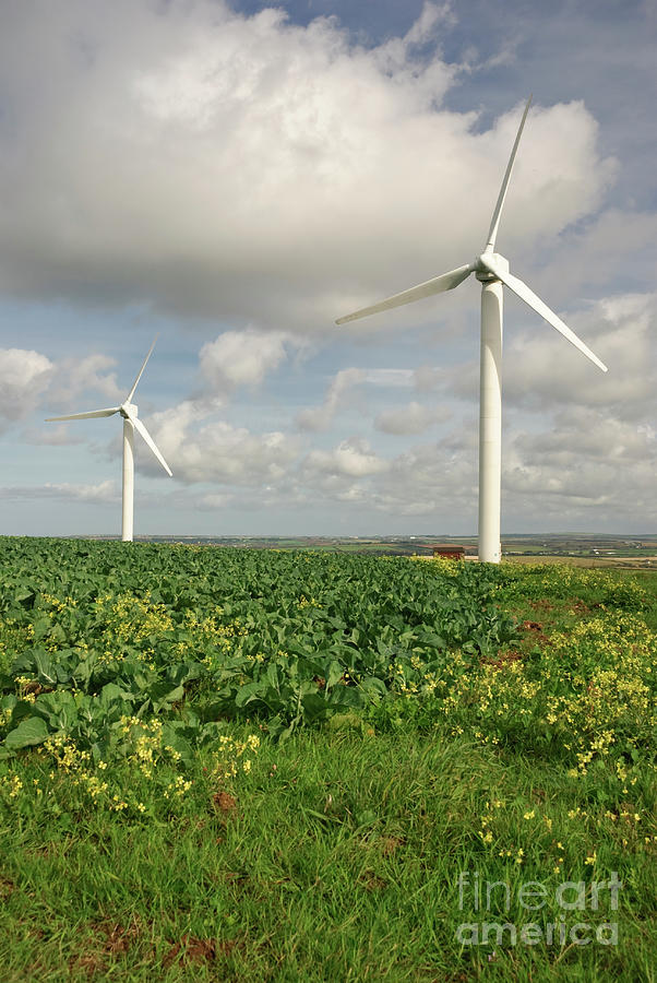 Wind Farm Photograph