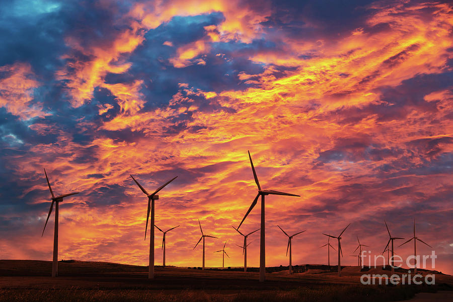 Wind farm at sunset Photograph by Delphimages Photo Creations