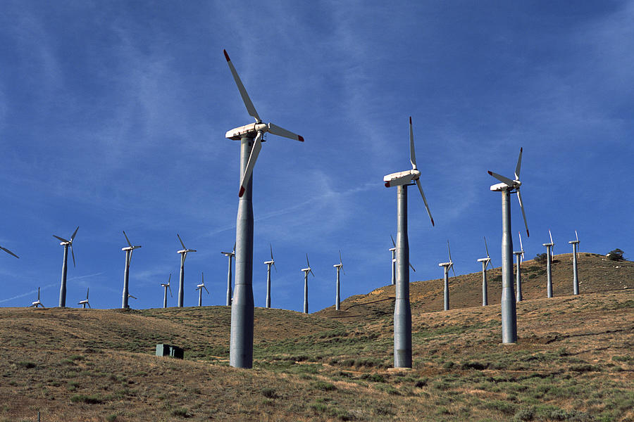Wind farm in rural field Photograph by Comstock Images