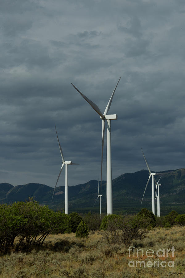 Wind Generators-signed-#4182 Photograph