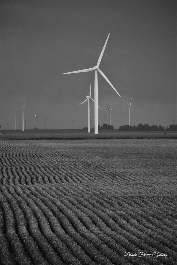 Wind Gens 2 Photograph by Kurt Keller