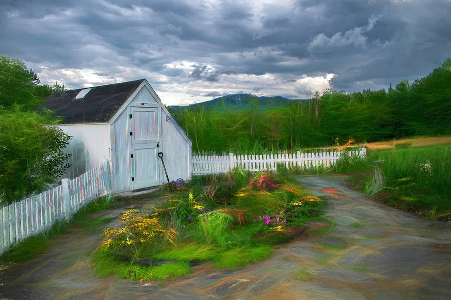Wind in the Garden Photograph by Wayne King