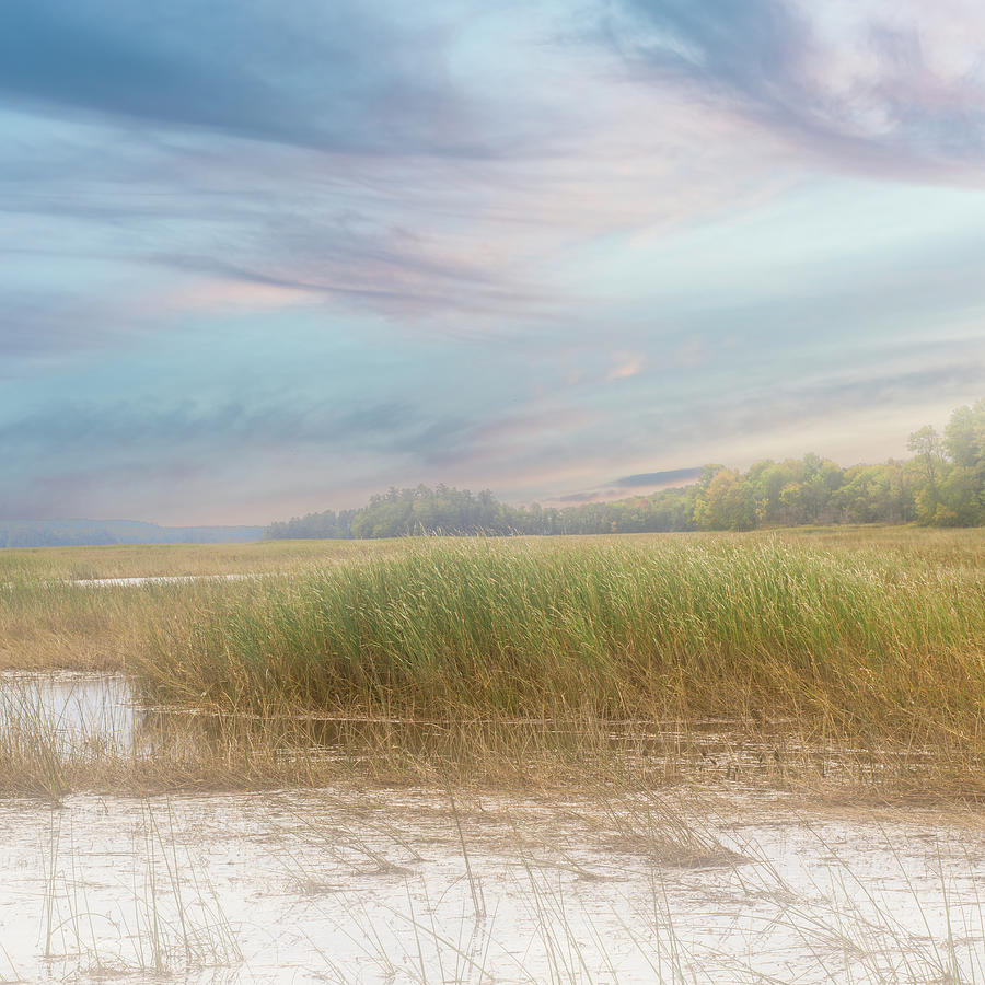 Landscape Photograph - Wind In The Saltmarsh by Bob Orsillo
