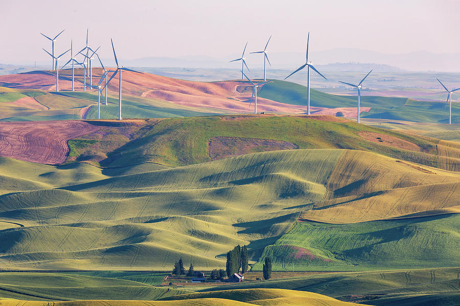 Wind Mills at Green Rolling Hills of Palouse - 2 Photograph by Alex Mironyuk