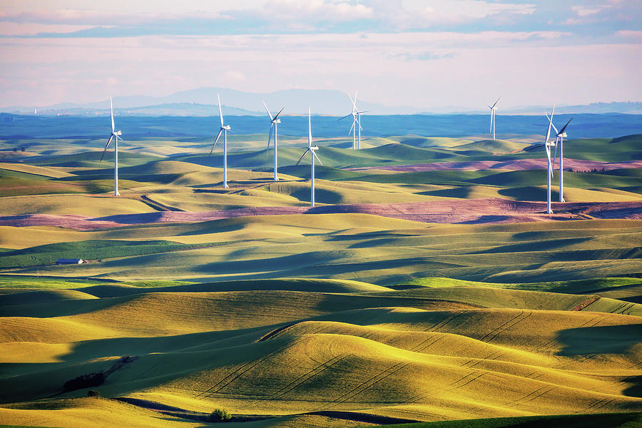Wind Mills At Green Rolling Hills Of Palouse Photograph