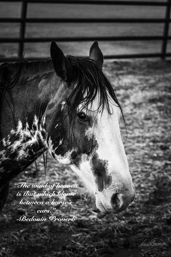 Wind of Heaven Photograph by Necia Seamons Fine Art America