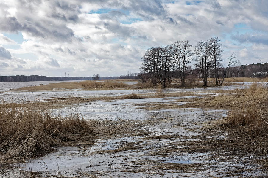 Wind Of Spring At The Riverside Jurmala Photograph by Aleksandrs Drozdovs Wind Of Spring At The Riverside Jurmala Photograph by Aleksandrs Drozdovs