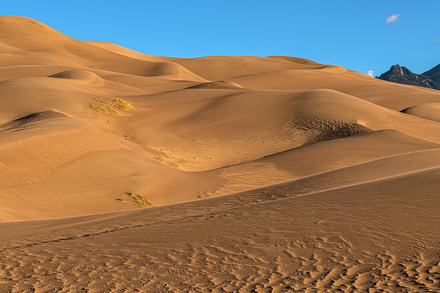Great Sand Dunes National Park Photograph - Wind Patterns Of Sand by Angelo Marcialis
