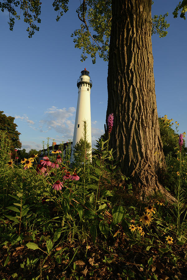 Wind Point Lighthouse at Break of Day Photograph by Janice Adomeit