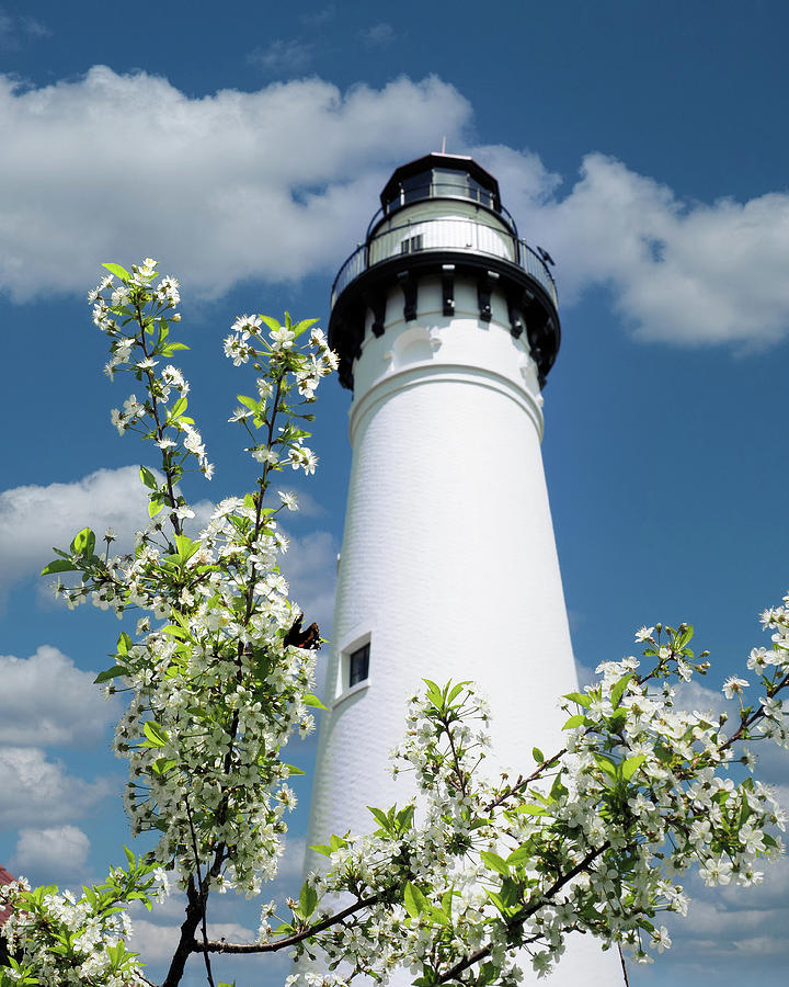 Wind Point Lighthouse Blossoms Photograph by Scott Olsen