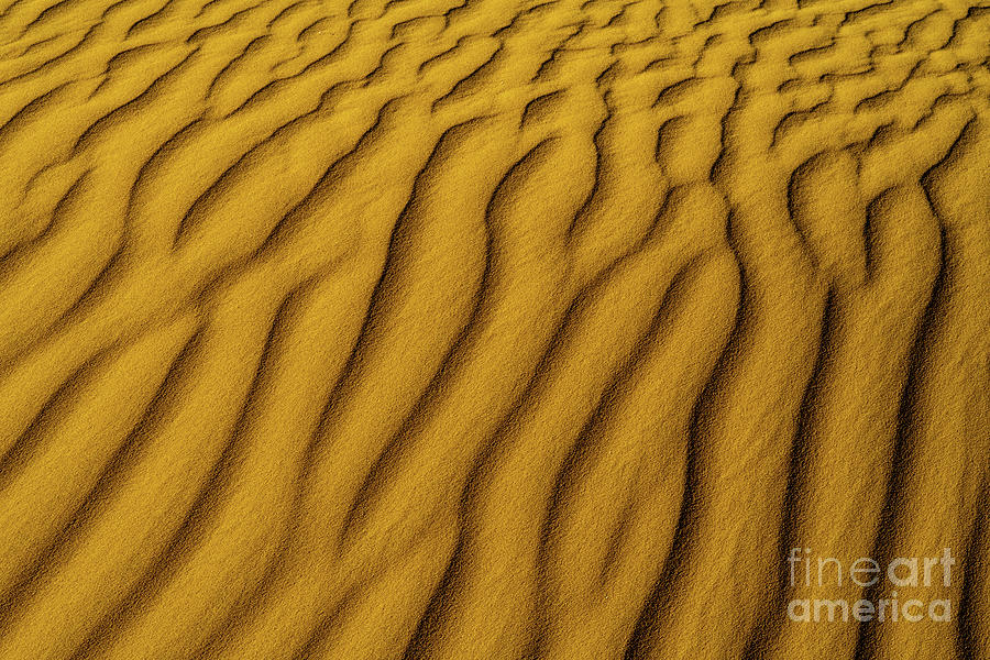 wind shaped Deset sand dune b1 Photograph by Ezra Zahor