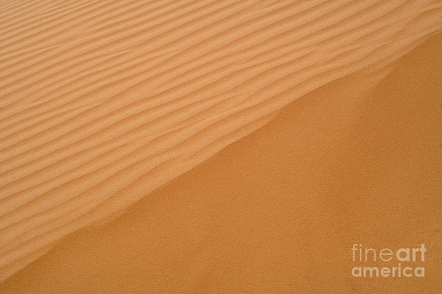 wind shaped Deset sand dune b2 Photograph by Ezra Zahor