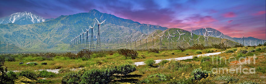 Wind Turbine Farm Palm Springs CA Photograph by David Zanzinger