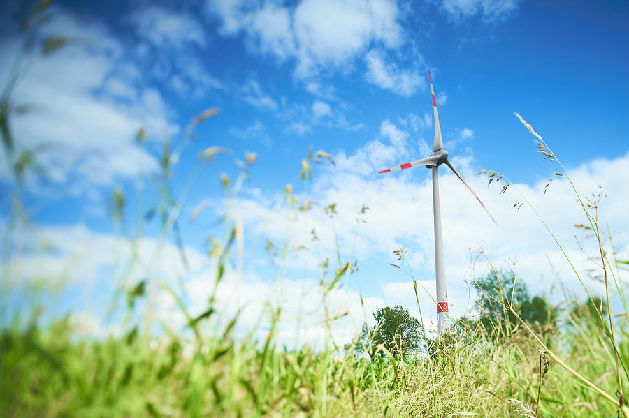 Wind turbine in grassy rural field Photograph by Adrian Weinbrecht
