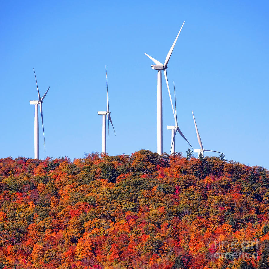 Wind Turbines and Fall Foliage Photograph by Olivier Le Queinec