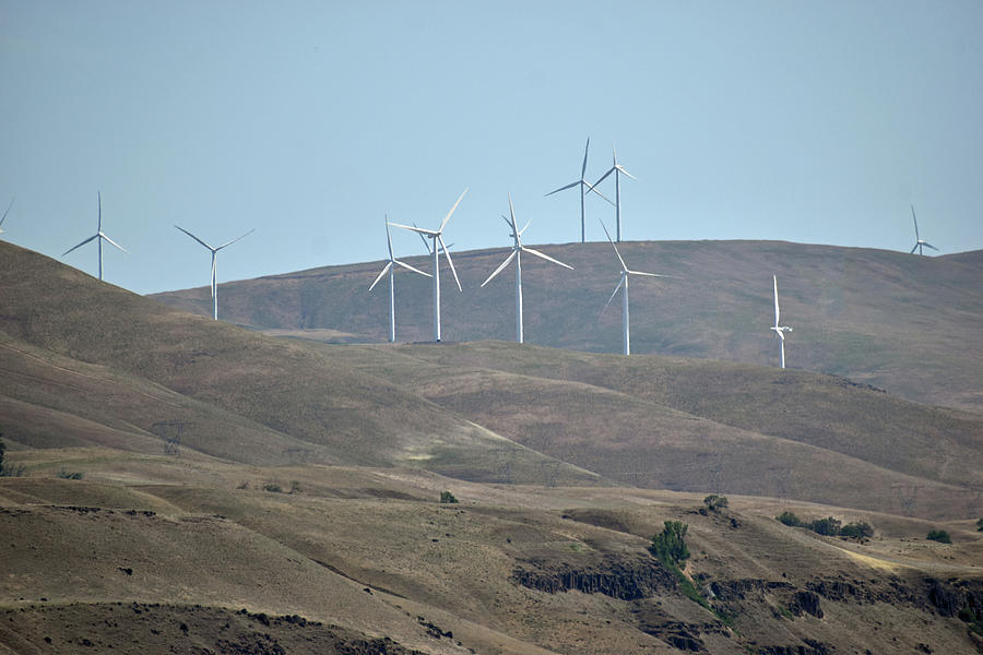 Wind Turbines In The Pacific Northwest Photograph