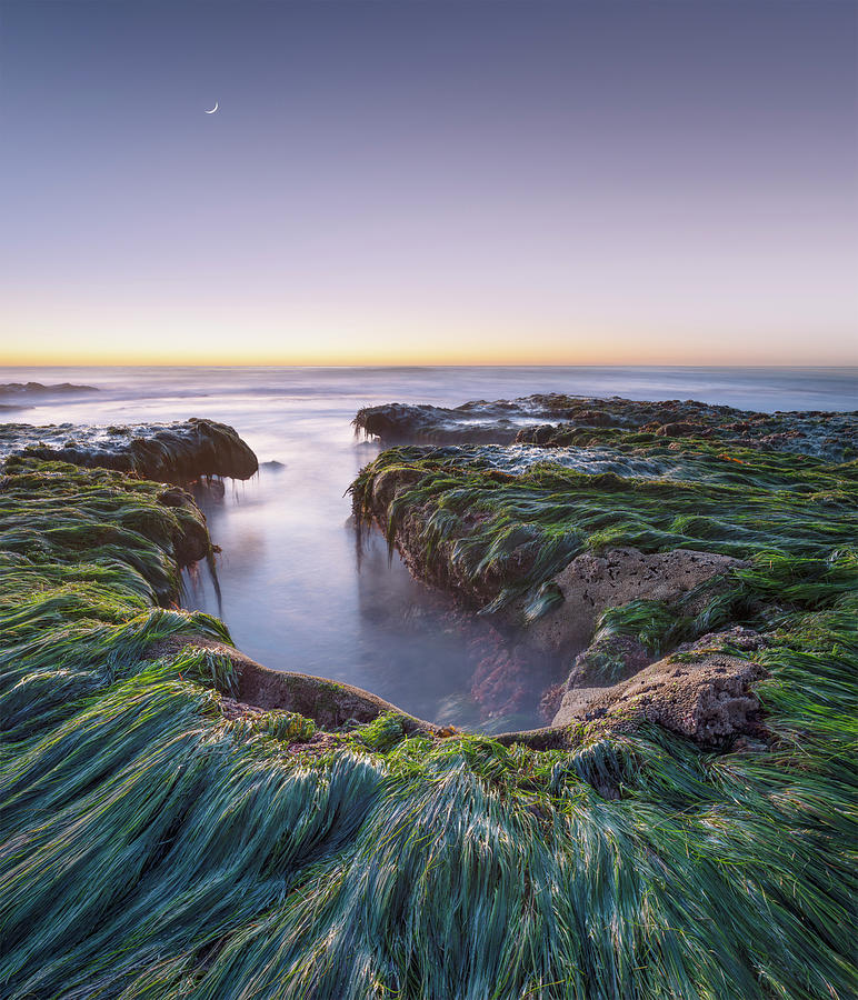 Windansea Beach Low Tide Moonset Photograph by William Dunigan