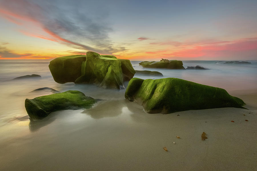 Windansea - Green Moss Rocks Photograph by Alexander Kunz