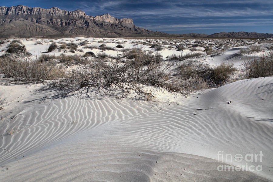 Windblown Texas Gypsum Dunes Photograph by Adam Jewell