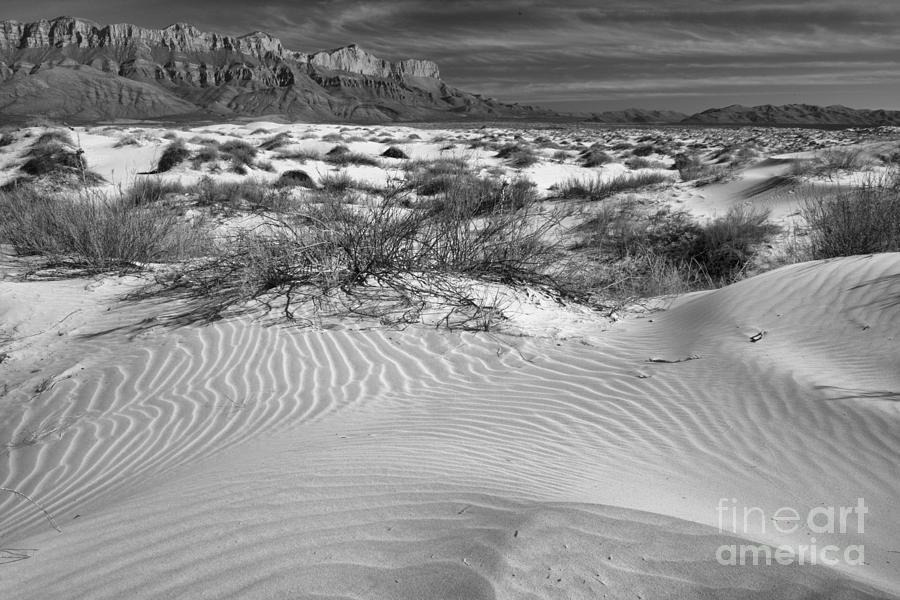 Windblown Texas Gypsum Dunes Black And White Photograph by Adam Jewell
