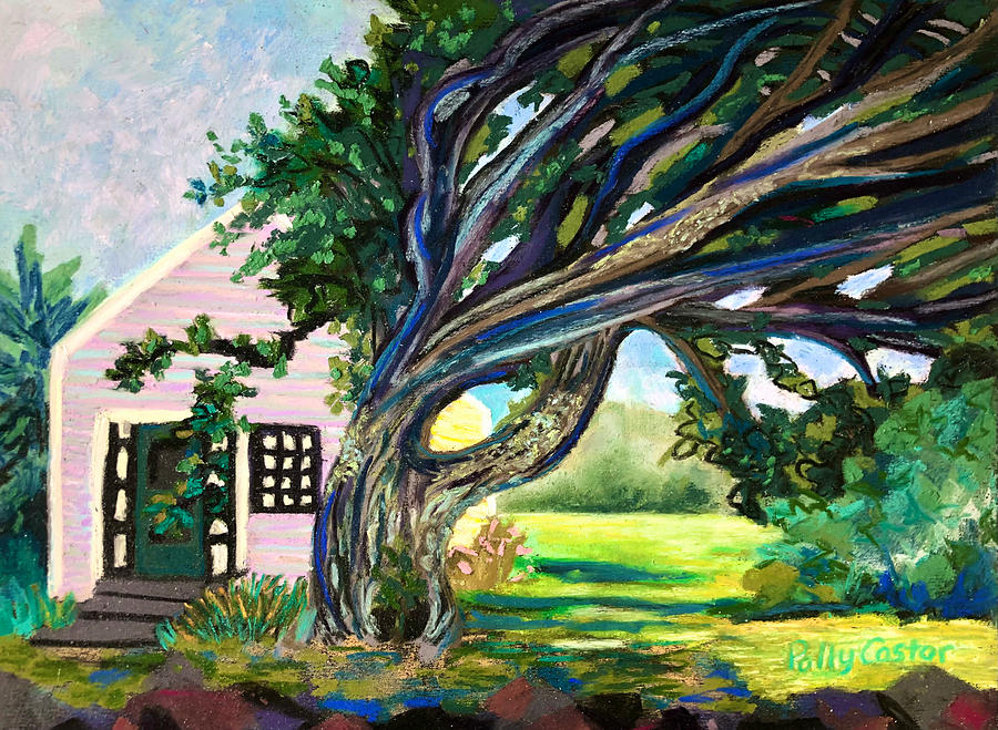 Windblown Tree, Monhegan Painting by Polly Castor