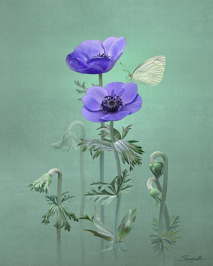 Windflowers Digital Art by M Spadecaller