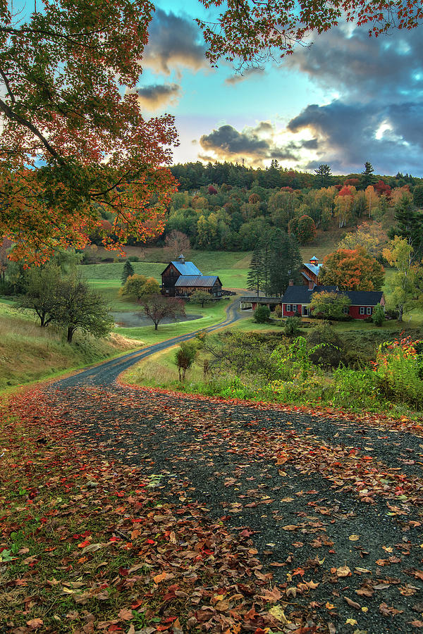 Winding farm road in Vermont Photograph by Tejus Shah - Fine Art America