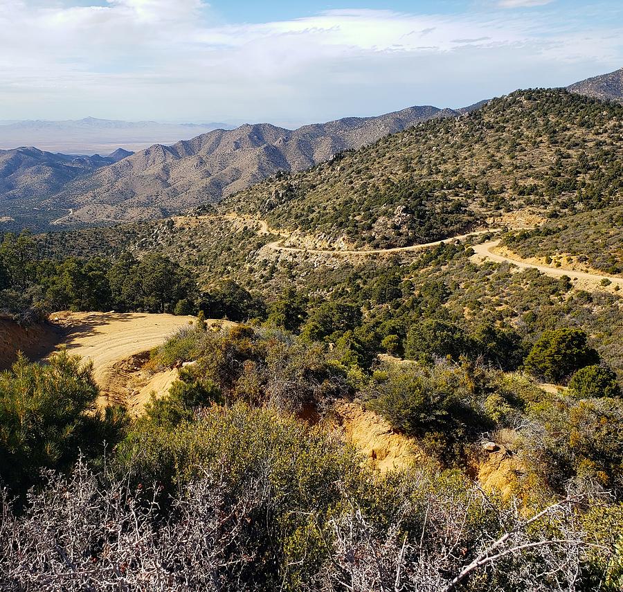 Winding Mountain Trail Photograph By Chrystina Sedore - Fine Art America