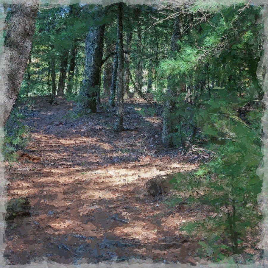 Winding Path Digital Art by George Pennington