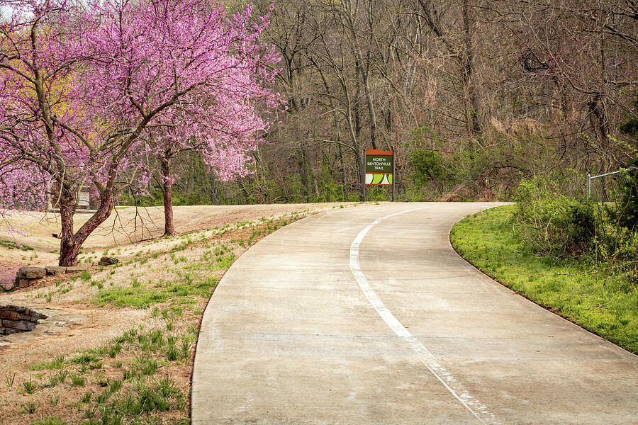 Winding Pathway Past Blooming Redbud Along The North Bentonville Trail Photograph by Gregory Ballos Winding Pathway Past Blooming Redbud Along The North Bentonville Trail Photograph by Gregory Ballos