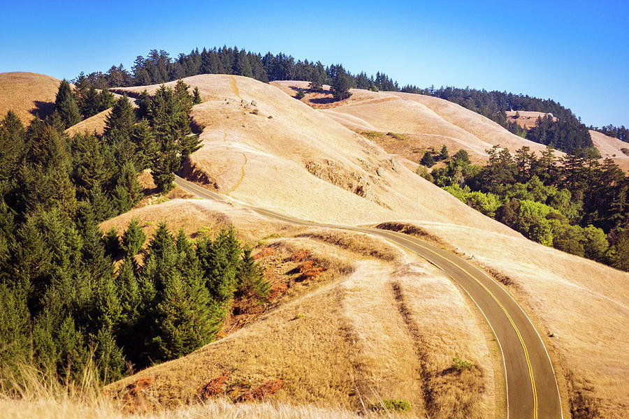 Winding Ridge Photograph by Jason Ross | Fine Art America