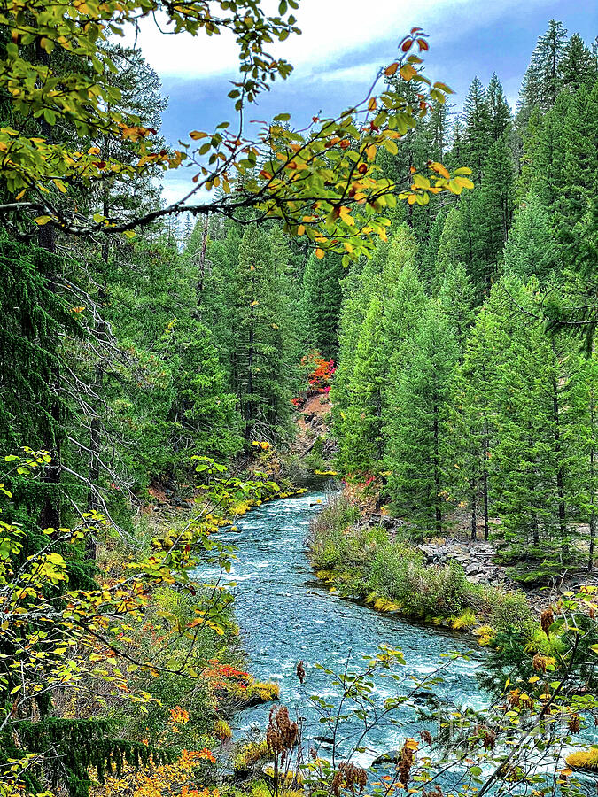 Winding River Photograph by Curt Brashear Winding River Photograph by Curt Brashear