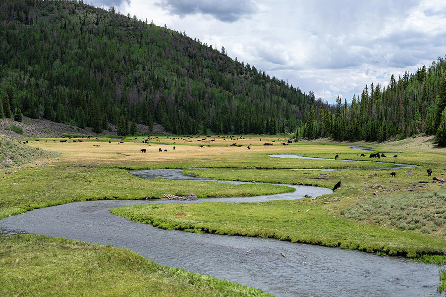 Winding River Through Meadow Photograph by Wesley Aston