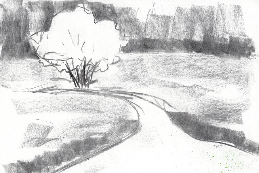 Winding road and trees Drawing by Karen Kaspar