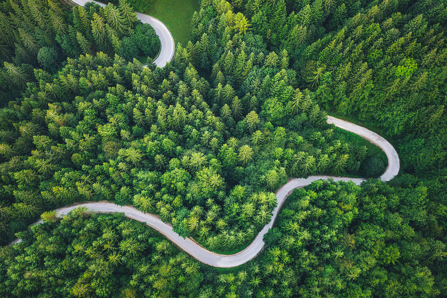 Winding Road Photograph by Borchee