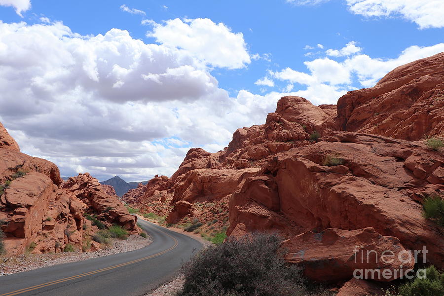 Winding Road Through Valley Of Fire  Photograph by Christiane Schulze Art And Photography