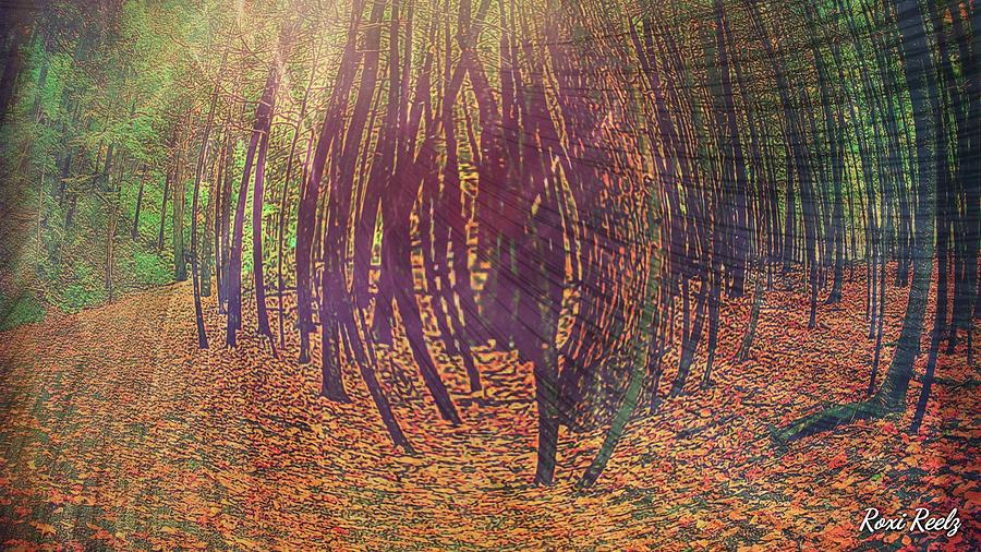 Winding Woods Photograph by Roxi Reelz Fine Art America