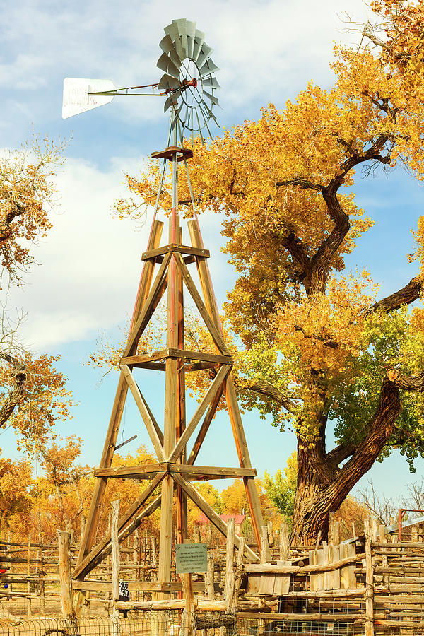 Windmill and Autumn Tree-001-C Photograph by David Allen Pierson