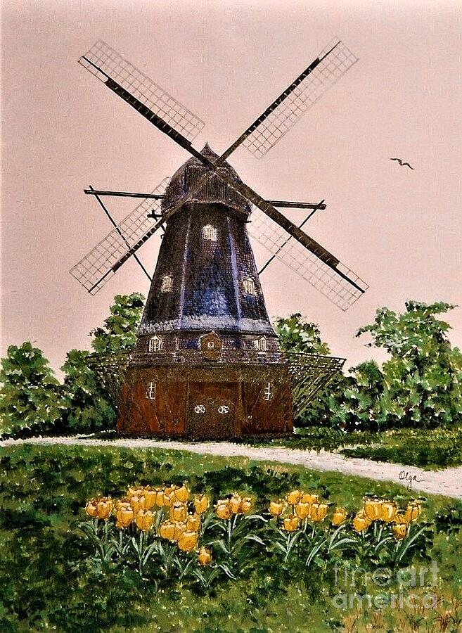Windmill and Tulips Drawing by Olga Silverman