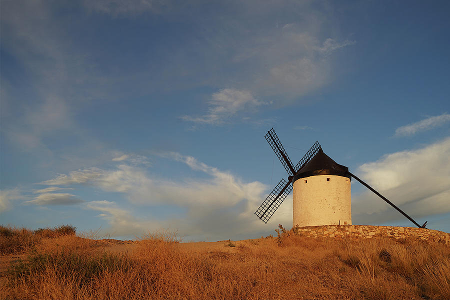 Windmill at Consuegra Photograph by Richard Reeve